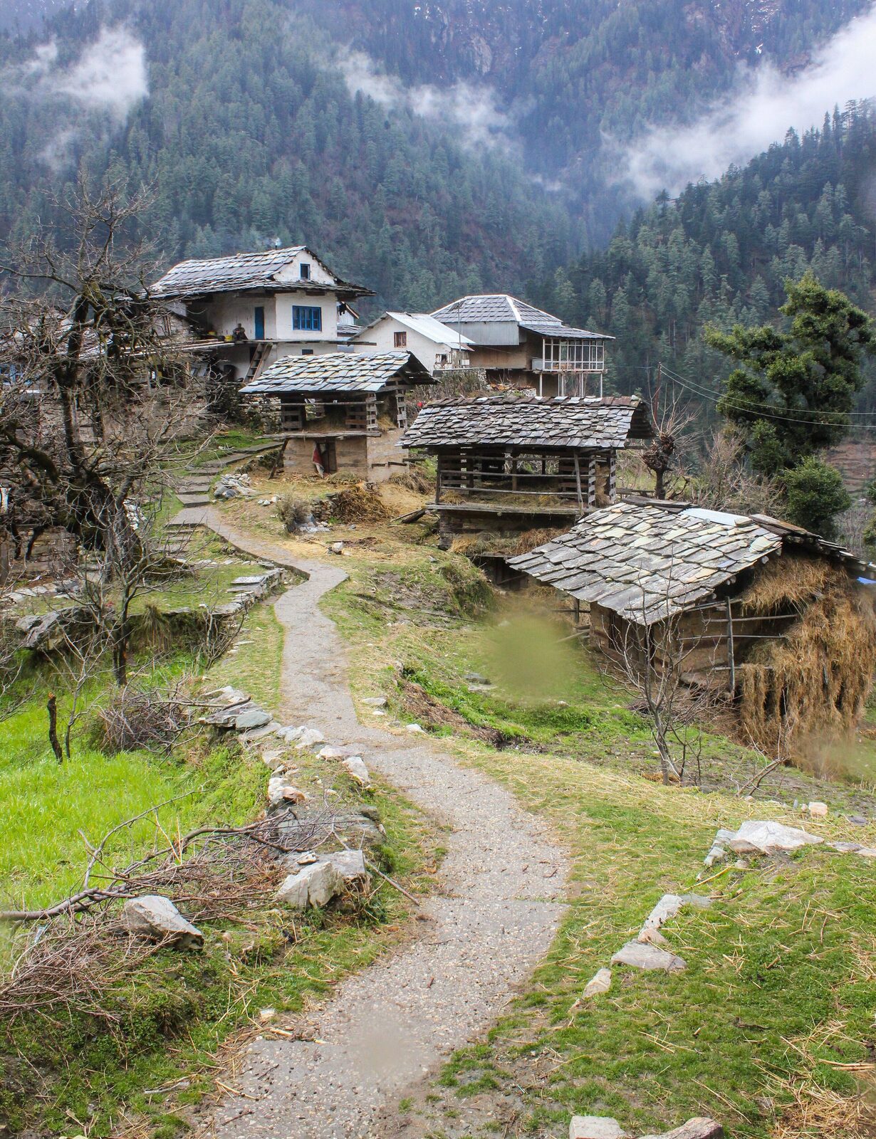 A traditional Himachali village in the hills near Jibhi